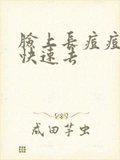 脸上长痘痘如何快速去