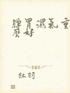 脾胃湿气重喝什么好