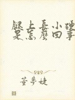 腿上长小硬疙瘩是怎么回事