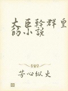 大臣干群皇太后的小说