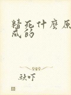 精死什么原因造成的