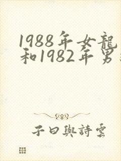 1988年女龙和1982年男狗相配吗封面