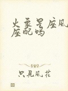 火象星座风象星座配吗