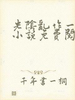 光阴乱作一团的小说免费阅读