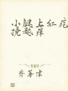 小腿上红疙瘩越挠越痒