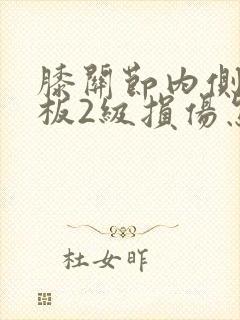 膝关节内侧半月板2级损伤怎么办封面