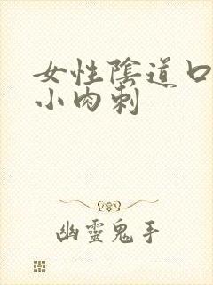 女性阴道口内有小肉刺