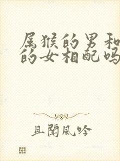 属猴的男和属龙的女相配吗