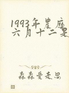 1993年农历六月十二是什么命