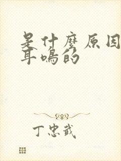 是什么原因引起耳鸣的