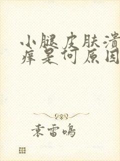 小腿皮肤溃烂奇痒是何原因封面