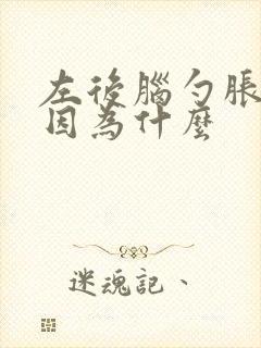 左后脑勺胀疼是因为什么封面