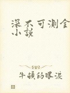 深不可测金银花小说