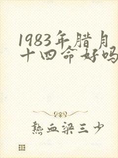 1983年腊月十四命好吗封面