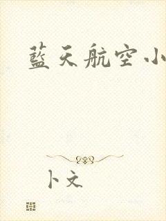 蓝天航空小说