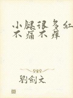 小腿很多红点点不痛不痒