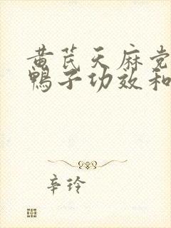 黄芪天麻党参炖鸭子功效和作用