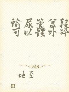 输尿管盆段结石可以体外碎石吗?