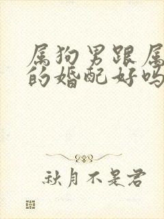 属狗男跟属牛女的婚配好吗