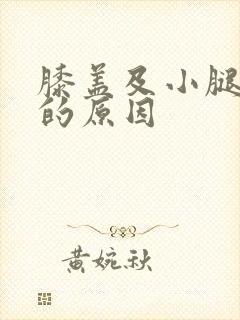 膝盖及小腿发凉的原因封面