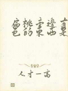 扁桃旁边有个白色的东西是什么