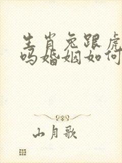 生肖兔跟虎相配吗婚姻如何封面