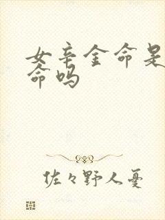 女辛金命是上等命吗