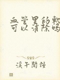 血管里的软斑块可以消除吗