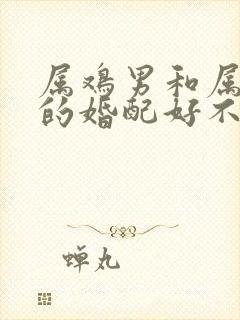 属鸡男和属蛇女的婚配好不好