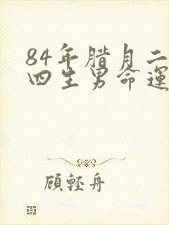 84年腊月二十四生男命运封面