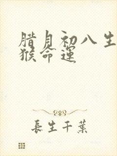 腊月初八生的属猴命运