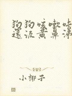 狗狗咳嗽咔咔声还流黄鼻涕