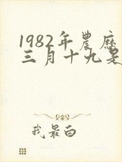 1982年农历三月十九是什么命