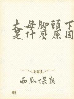 大母脚头下麻木是什么原因封面