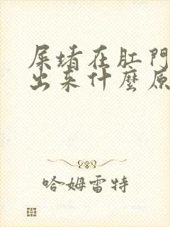 屎堵在肛门拉不出来什么原因