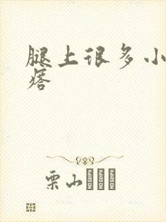 腿上很多小红疙瘩