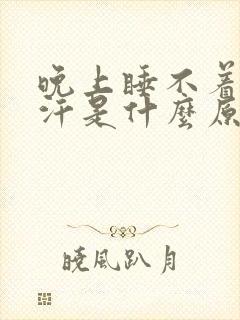 晚上睡不着还出汗是什么原因