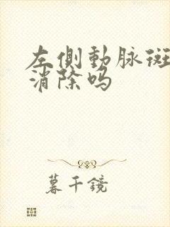 左侧动脉斑块能消除吗