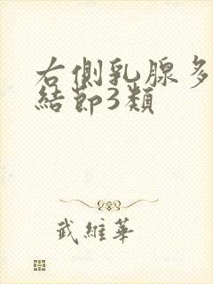 右侧乳腺多发性结节3类