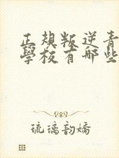 正规叛逆青少年学校有哪些封面