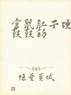 仓鼠肚子硬硬的鼓鼓的