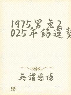 1975男兔2025年的运势及运程封面
