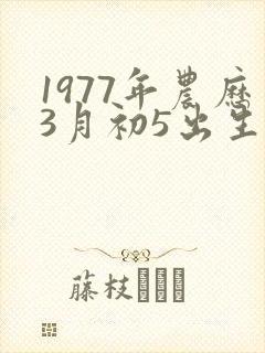 1977年农历3月初5出生命运