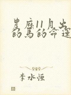 农历11月出生的马的命运