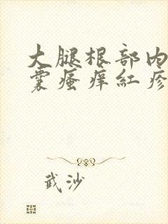 大腿根部内侧阴囊瘙痒红疹发黑