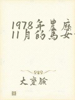 1978年农历11月的马女命运如何