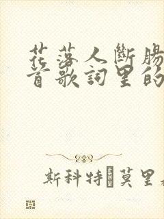 花落人断肠是哪首歌词里的