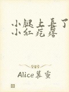 小腿上长了很多小红疙瘩封面