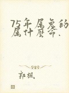 75年属兔的是属什么命.封面