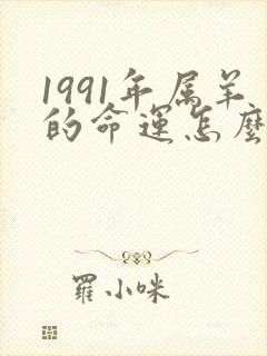 1991年属羊的命运怎么样